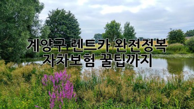🚗 계양구 렌트카 완전정복! 자차보험 꿀팁까지 🍯
